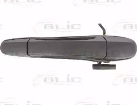 BLIC 6010-19-003404P - Ручка двері autozip.com.ua