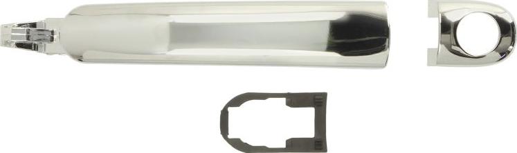 BLIC 6010-10-010401PP - Ручка двері autozip.com.ua
