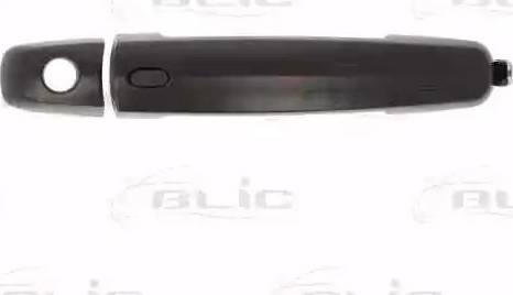 BLIC 6010-18-021401CP - Ручка двері autozip.com.ua