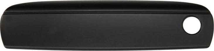 BLIC 6010-25-048401P - Ручка двері autozip.com.ua