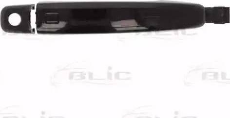BLIC 6010-25-032401PP - Ручка двері autozip.com.ua
