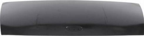BLIC 6803-00-2509280Q - Капот двигуна autozip.com.ua