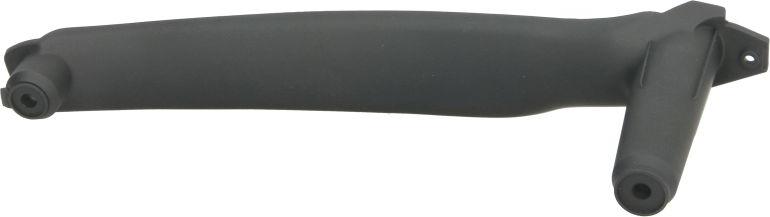 BLIC 8800-00-0126201P - Ручка двері autozip.com.ua