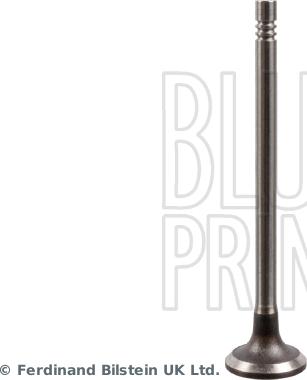 Blue Print ADBP610034 - Впускний клапан autozip.com.ua