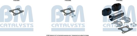 BM Catalysts FK92289 - Монтажний комплект, каталізатор autozip.com.ua