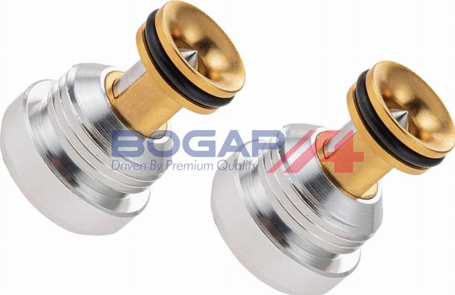 BOGAP A1338113 - Клапан підтримки тиску масла autozip.com.ua