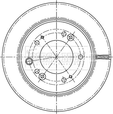 Borg & Beck BBD5198 - Гальмівний диск autozip.com.ua