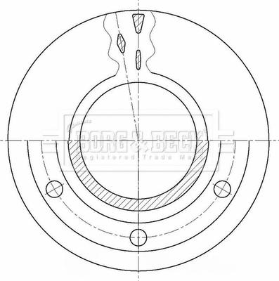 Borg & Beck BBD32931 - Гальмівний диск autozip.com.ua