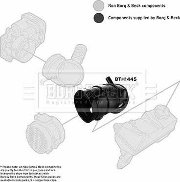 Borg & Beck BTH1445 - Рукав повітрозабірника, повітряний фільтр autozip.com.ua