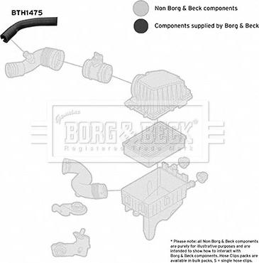 Borg & Beck BTH1475 - Рукав повітрозабірника, повітряний фільтр autozip.com.ua