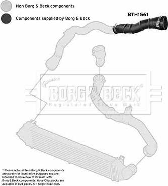 Borg & Beck BTH1561 - Трубка нагнітається повітря autozip.com.ua