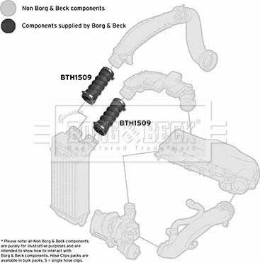 Borg & Beck BTH1509 - Трубка нагнітається повітря autozip.com.ua