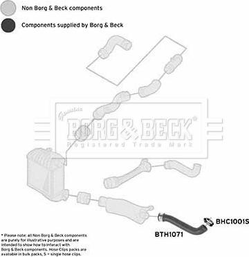 Borg & Beck BTH1071 - Трубка нагнітається повітря autozip.com.ua