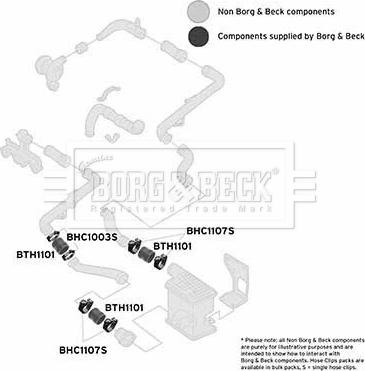 Borg & Beck BTH1101 - Трубка нагнітається повітря autozip.com.ua