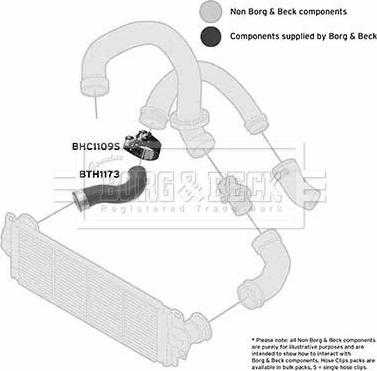 Borg & Beck BTH1173 - Трубка нагнітається повітря autozip.com.ua