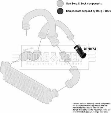 Borg & Beck BTH1172 - Трубка нагнітається повітря autozip.com.ua