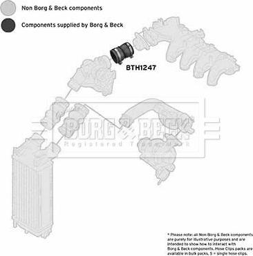 Borg & Beck BTH1247 - Трубка нагнітається повітря autozip.com.ua