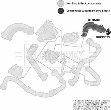 Borg & Beck BTH1281 - Трубка нагнітається повітря autozip.com.ua