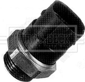 Borg & Beck BTS894.95 - Термовимикач, вентилятор радіатора / кондиціонера autozip.com.ua