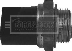 Borg & Beck BTS805.95 - Термовимикач, вентилятор радіатора / кондиціонера autozip.com.ua