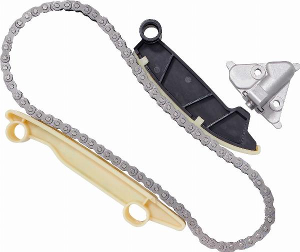 BorgWarner 59007150044 - Комплект ланцюга приводу распредвала autozip.com.ua