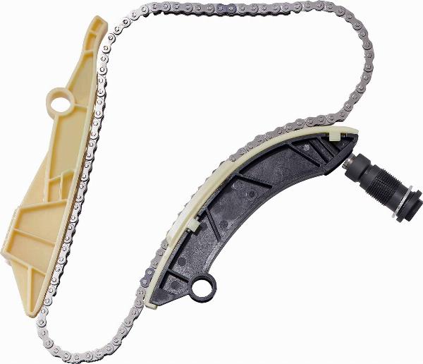 BorgWarner 59007150045 - Комплект ланцюга приводу распредвала autozip.com.ua
