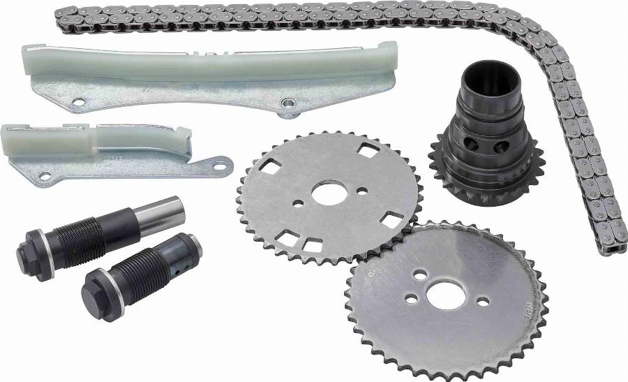 BorgWarner 59007150005 - Комплект ланцюга приводу распредвала autozip.com.ua