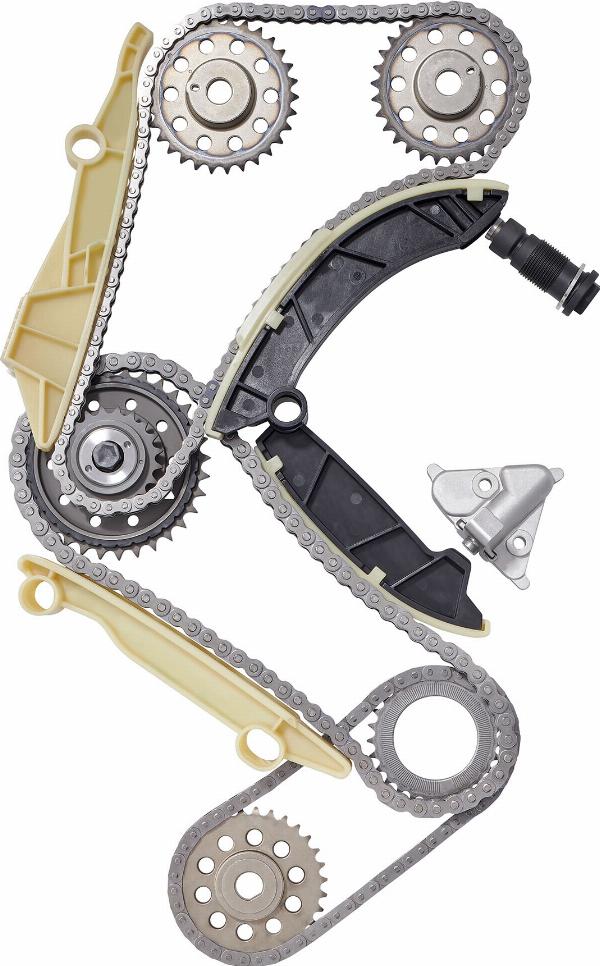 BorgWarner 59007150015 - Комплект ланцюга приводу распредвала autozip.com.ua