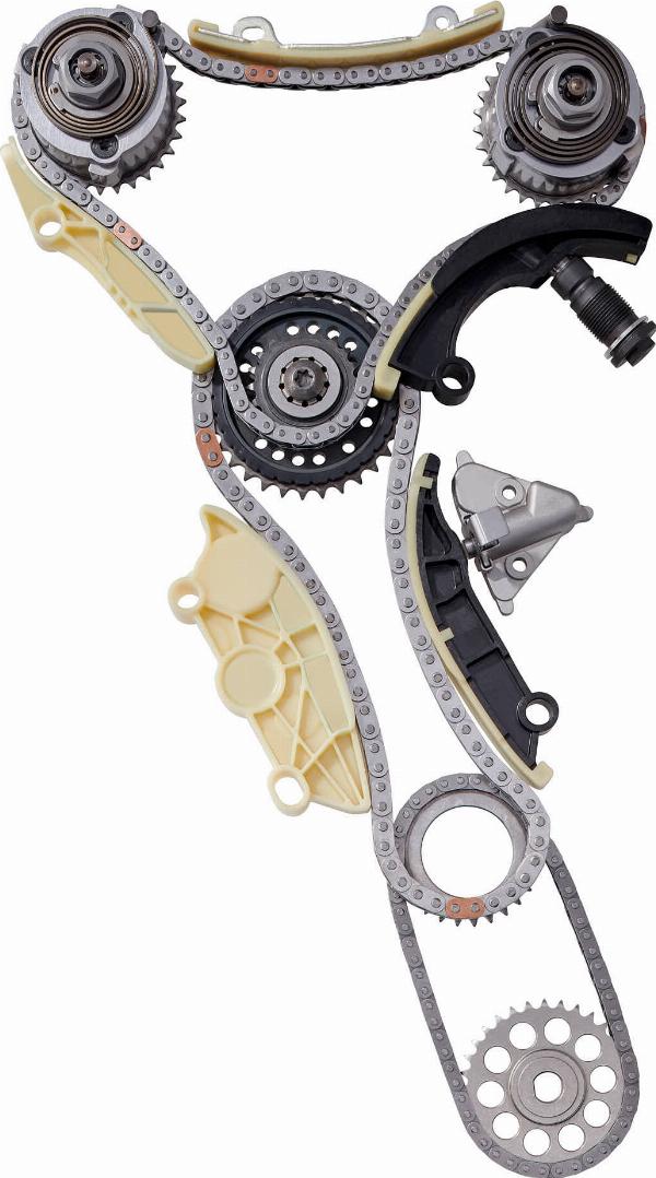 BorgWarner 59007150018 - Комплект ланцюга приводу распредвала autozip.com.ua