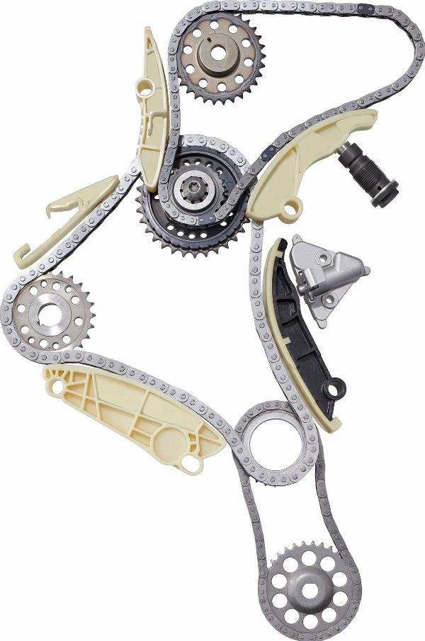 BorgWarner 59007150017 - Комплект ланцюга приводу распредвала autozip.com.ua