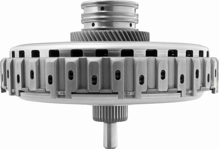 BorgWarner 202893 - Комплект зчеплення autozip.com.ua