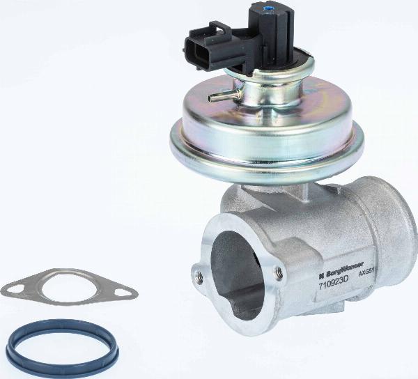 BorgWarner 710923D - Клапан повернення ОГ autozip.com.ua