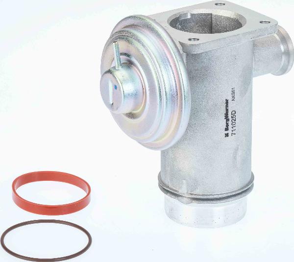 BorgWarner 711025D - Клапан повернення ОГ autozip.com.ua