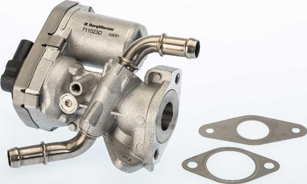 BorgWarner 711023D/1 - Клапан повернення ОГ autozip.com.ua