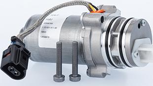 BorgWarner DS4601410015 - - - autozip.com.ua