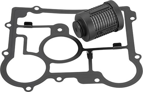 BorgWarner DS2006273 - Гідрофільтри, зчеплення Haldex autozip.com.ua