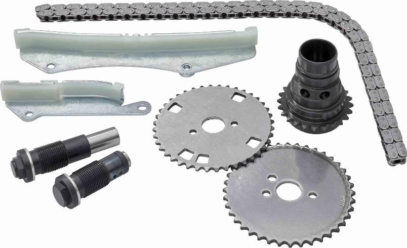 BorgWarner 59007150005 - Комплект ланцюга приводу распредвала autozip.com.ua