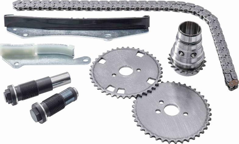 BorgWarner 59007150002 - Комплект ланцюга приводу распредвала autozip.com.ua