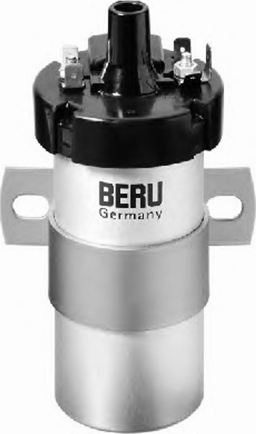 BorgWarner (BERU) 0 040 100 124 - Котушка запалювання autozip.com.ua