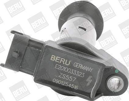 BorgWarner (BERU) ZS557 - Котушка запалювання autozip.com.ua