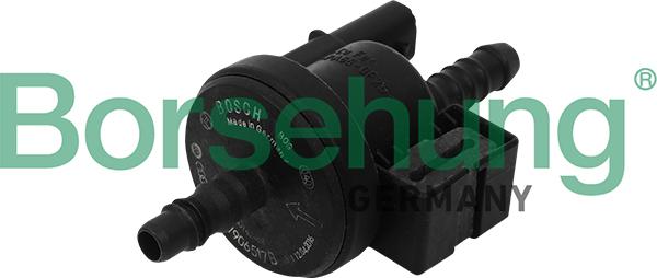 Borsehung B16933 - Клапан, фільтр активованого вугілля autozip.com.ua
