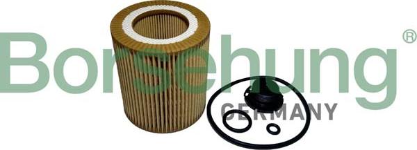 Borsehung B10439 - Масляний фільтр autozip.com.ua