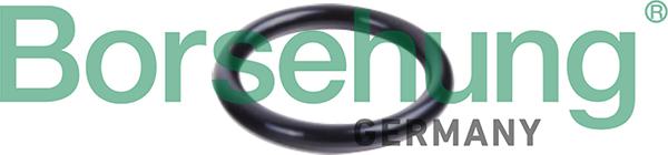 Borsehung B10632 - Кільце ущільнювача, трубка охолоджуючої рідини autozip.com.ua