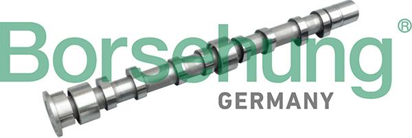 Borsehung B11312 - Шток autozip.com.ua