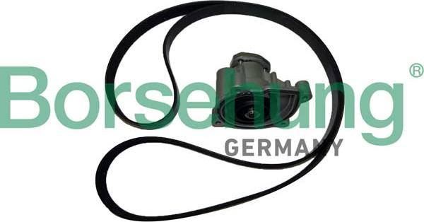 Borsehung B11215 - Водяний насос autozip.com.ua