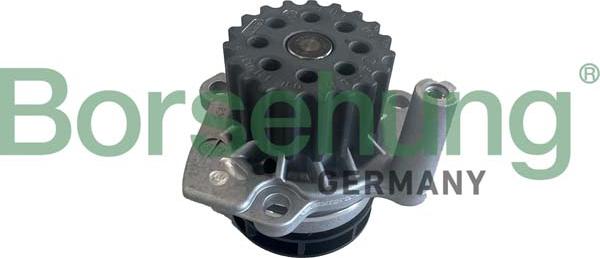 Borsehung B11212 - Водяний насос autozip.com.ua