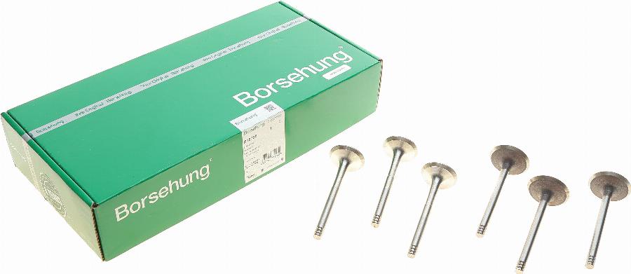 Borsehung B18765 - Клапан autozip.com.ua