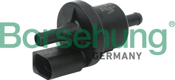 Borsehung B13667 - Клапан, фільтр активованого вугілля autozip.com.ua