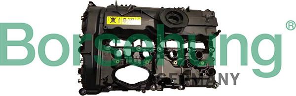 Borsehung B13005 - Кришка головки циліндра autozip.com.ua