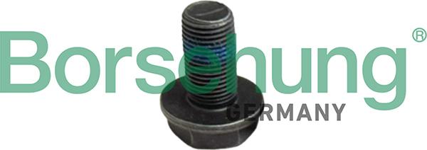 Borsehung B12999 - Болт маховика autozip.com.ua